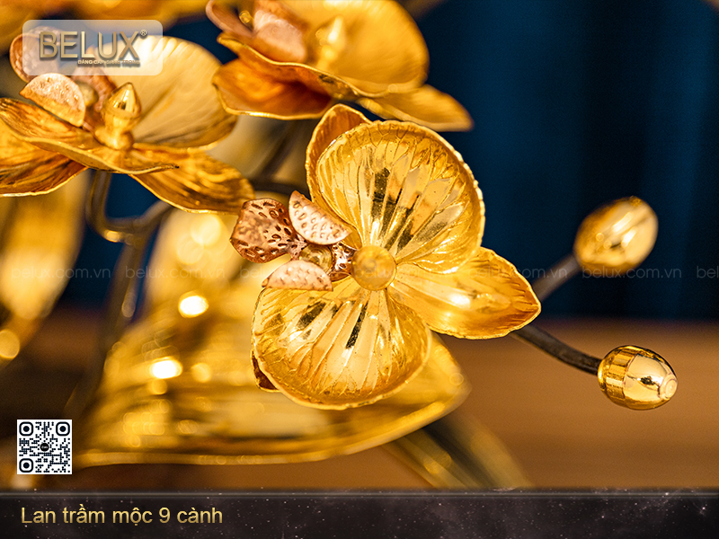 Lan trầm mộc 9 cành&nbsp;